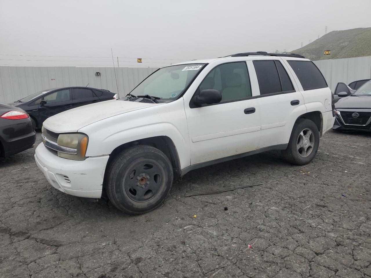 Chevrolet Trailblazer (2008)