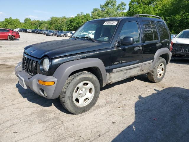 Jeep Liberty (2002)