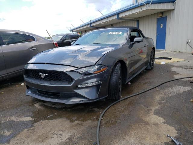 Ford All models (2019)