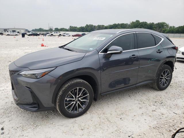 Lexus Nx 250 pre (2024)