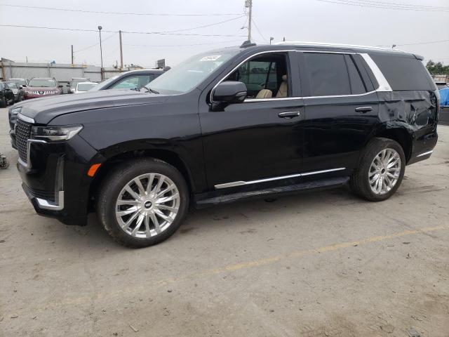 Cadillac Escalade (2024)