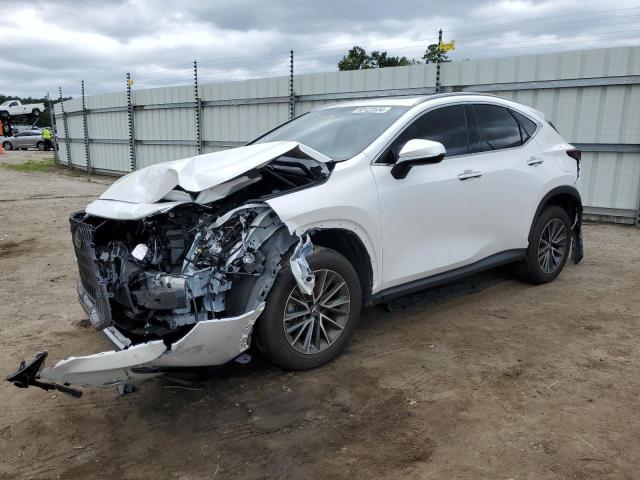 Lexus Nx 350 (2023)