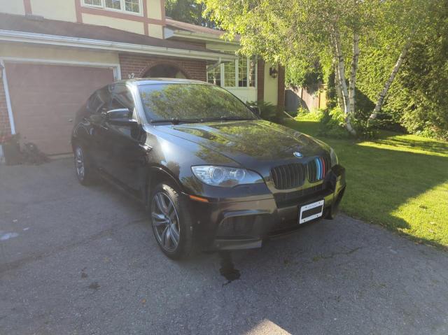 Bmw X6 (2012)