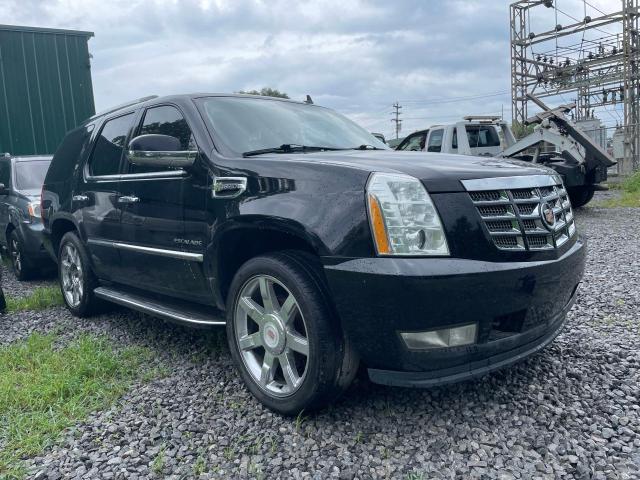 Cadillac Escalade (2013)