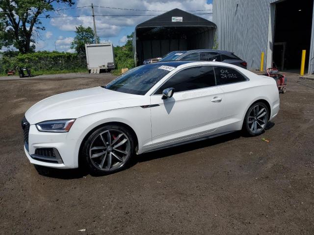 Audi S5-rs5 (2019)