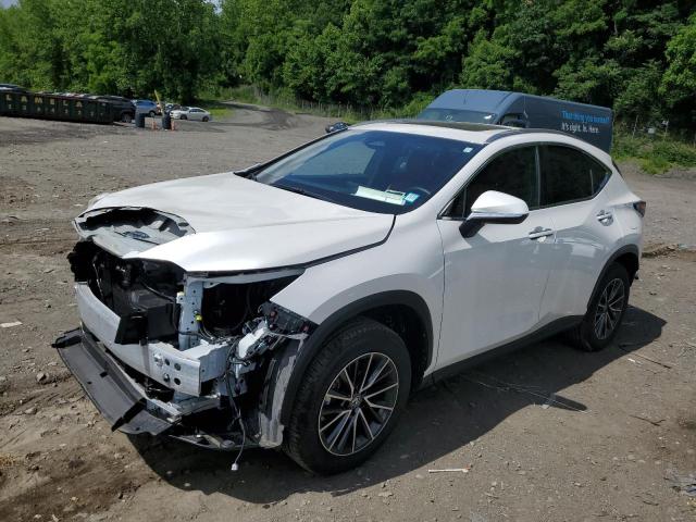 Lexus Nx 350 (2023)