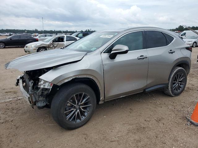 Lexus Nx 350 (2023)