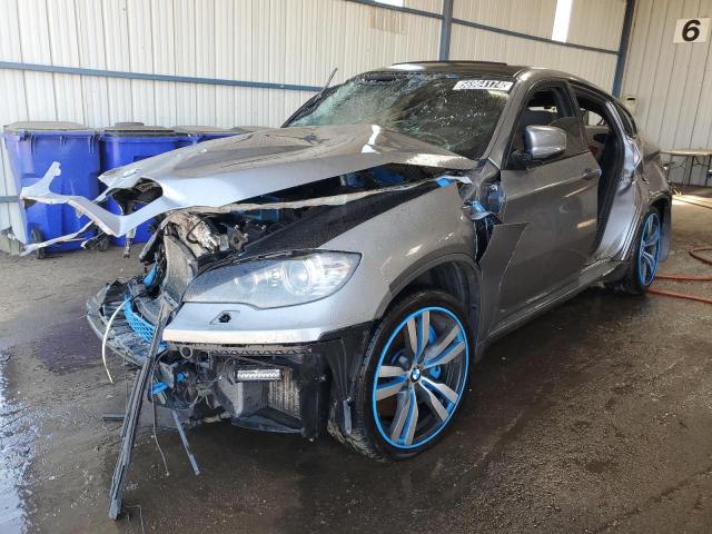 Bmw X6 (2010)