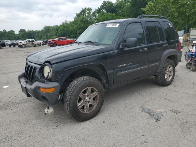 Jeep Liberty (2002)