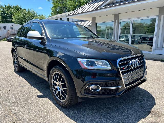 Audi Sq5 (2014)