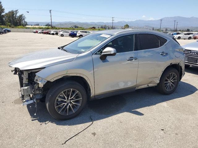 Lexus Nx 350 (2022)