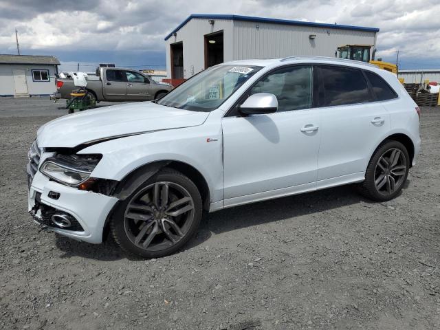 Audi Sq5 (2014)