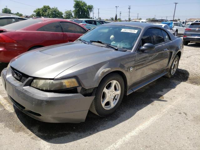 Ford All models (2004)