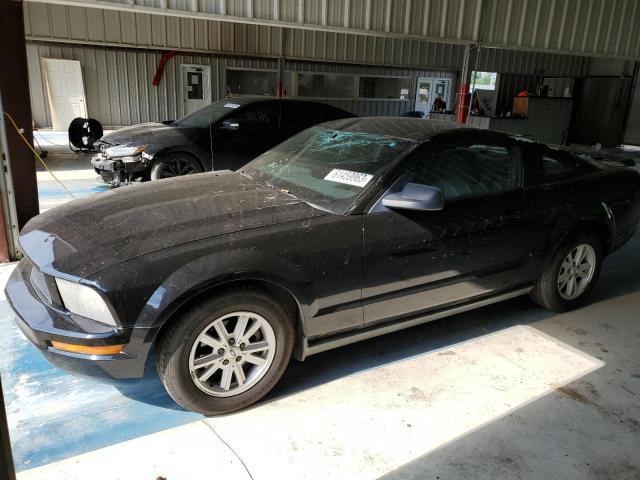 Ford All models (2005)