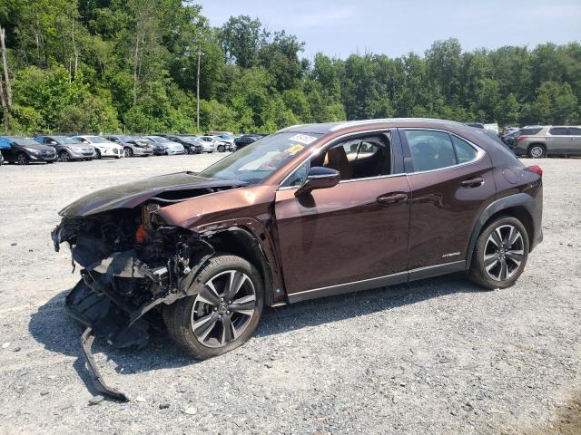 Lexus Ux 250h (2020)