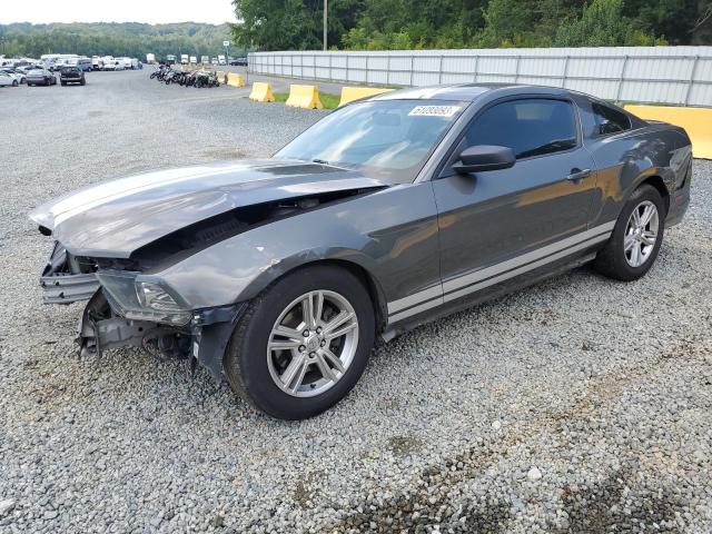 Ford All models (2014)