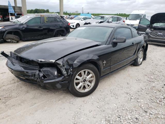 Ford All models (2007)
