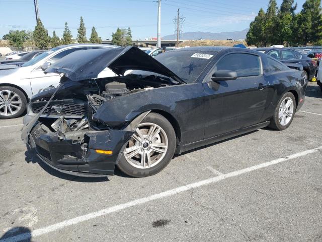 Ford All models (2014)