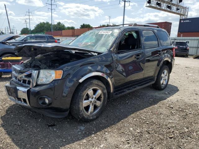 Ford Escape (2011)