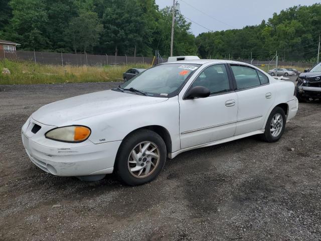 Pontiac Grandam (2004)