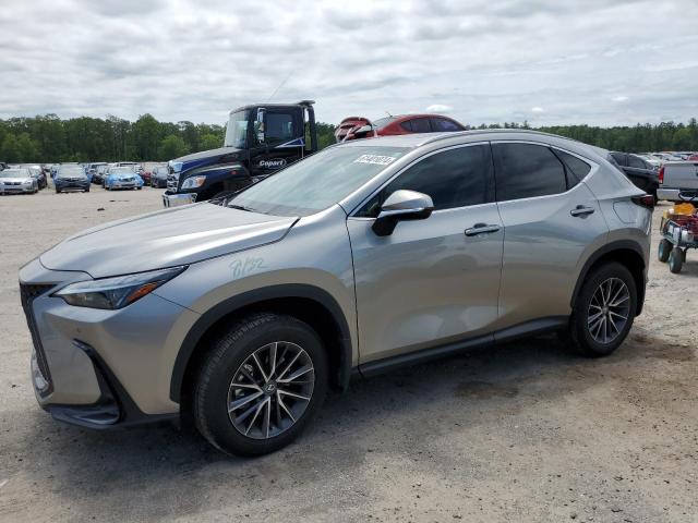 Lexus Nx 250 pre (2024)