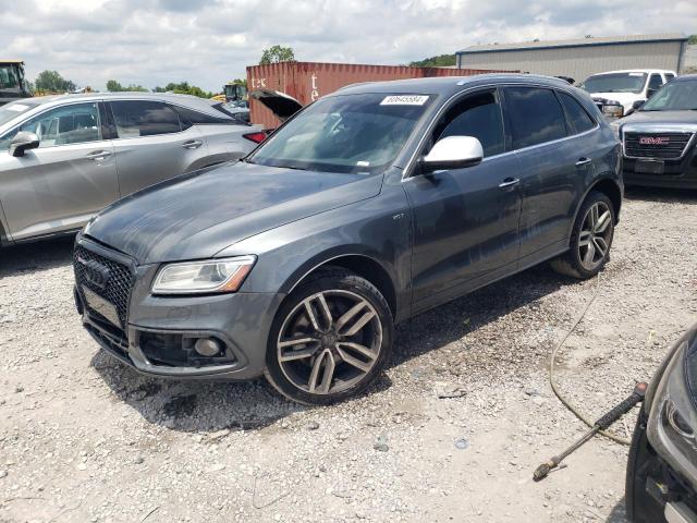 Audi Sq5 (2017)