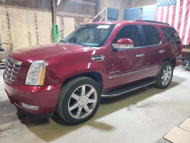 Cadillac Escalade (2011)