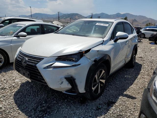 Lexus Nx 300h (2020)