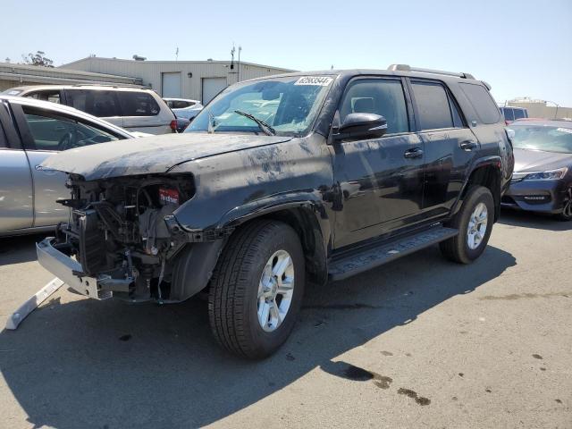 Toyota 4runner sr (2019)