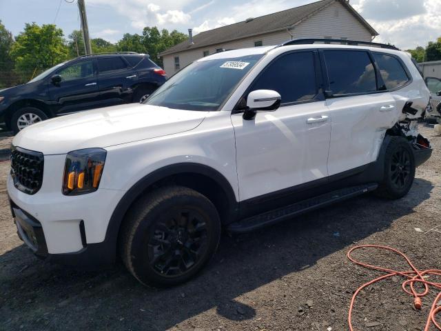 Kia Telluride (2024)