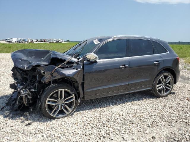 Audi Sq5 (2015)