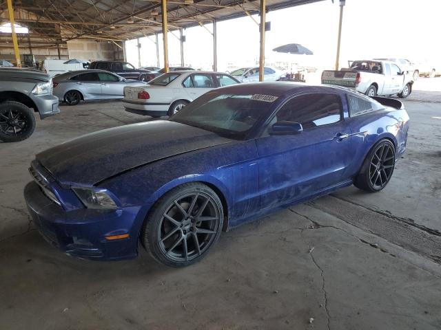 Ford All models (2013)