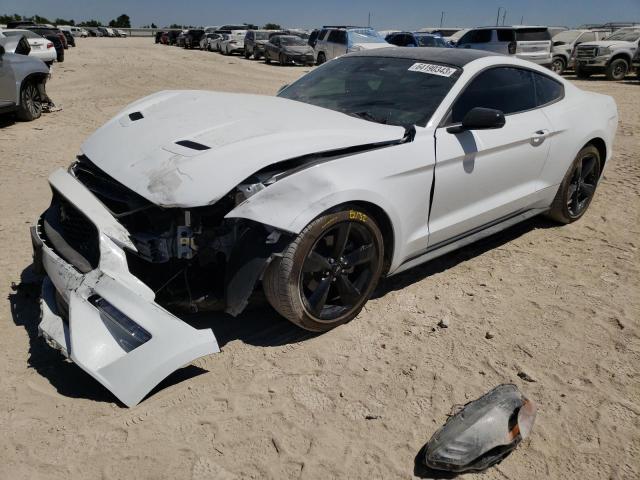 Ford All models (2023)