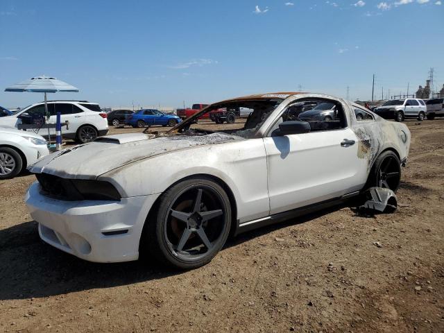 Ford All models (2010)