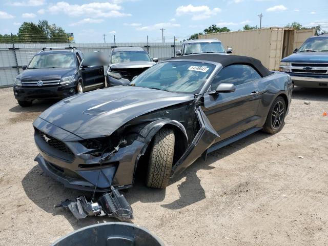 Ford All models (2019)