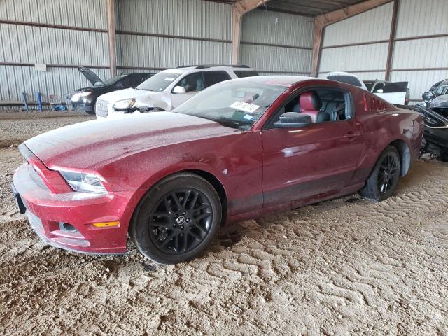 Ford All models (2014)