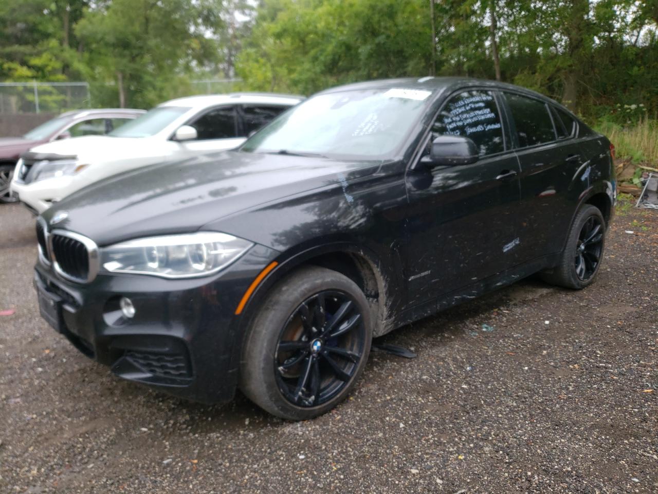 Bmw X6 (2019)