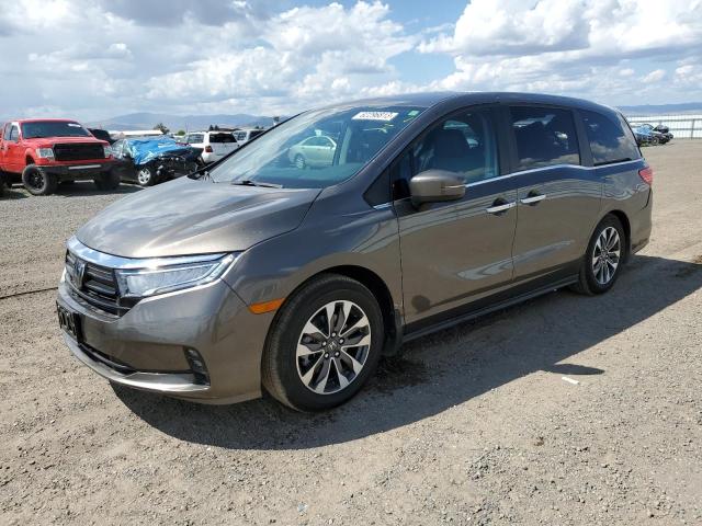 Honda All models (2023)