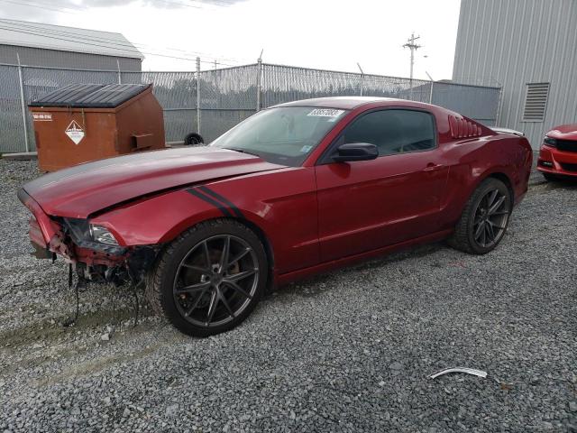 Ford All models (2014)