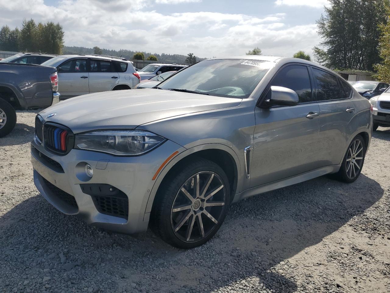 Bmw X6 (2016)