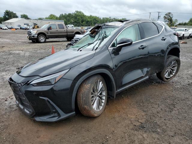 Lexus Nx 350 (2023)