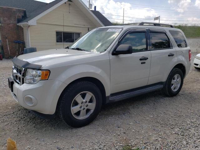 Ford Escape (2011)
