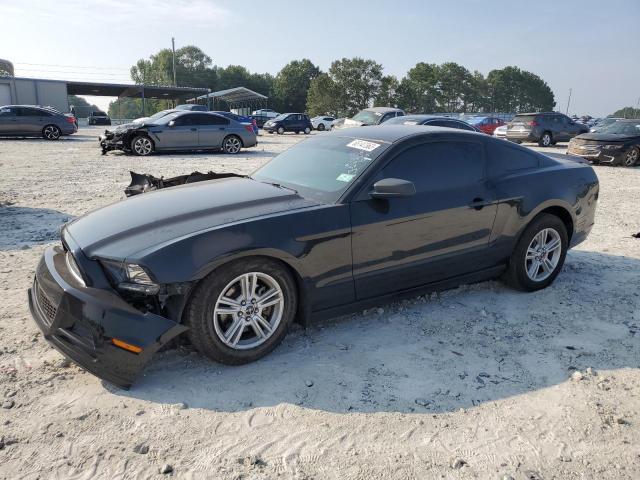 Ford All models (2013)