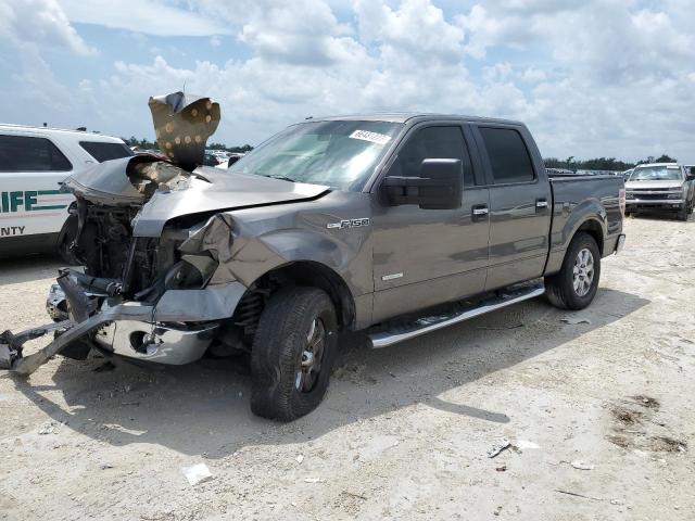 Ford F-150 (2013)