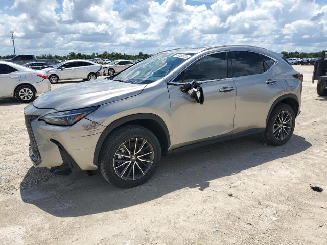 Lexus Nx 250 pre (2024)