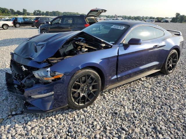Ford All models (2019)