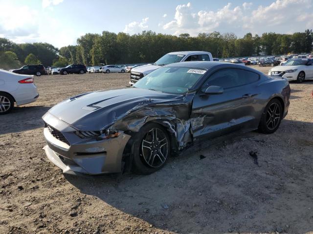 Ford All models (2023)
