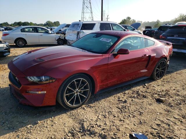 Ford All models (2023)