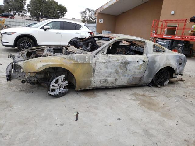 Ford All models (2012)