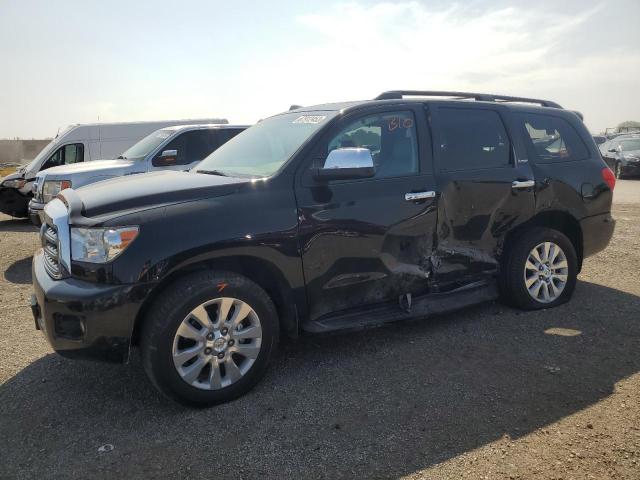 Toyota Sequoia (2016)
